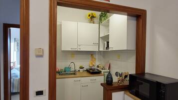 Fridge, microwave, stovetop, electric kettle