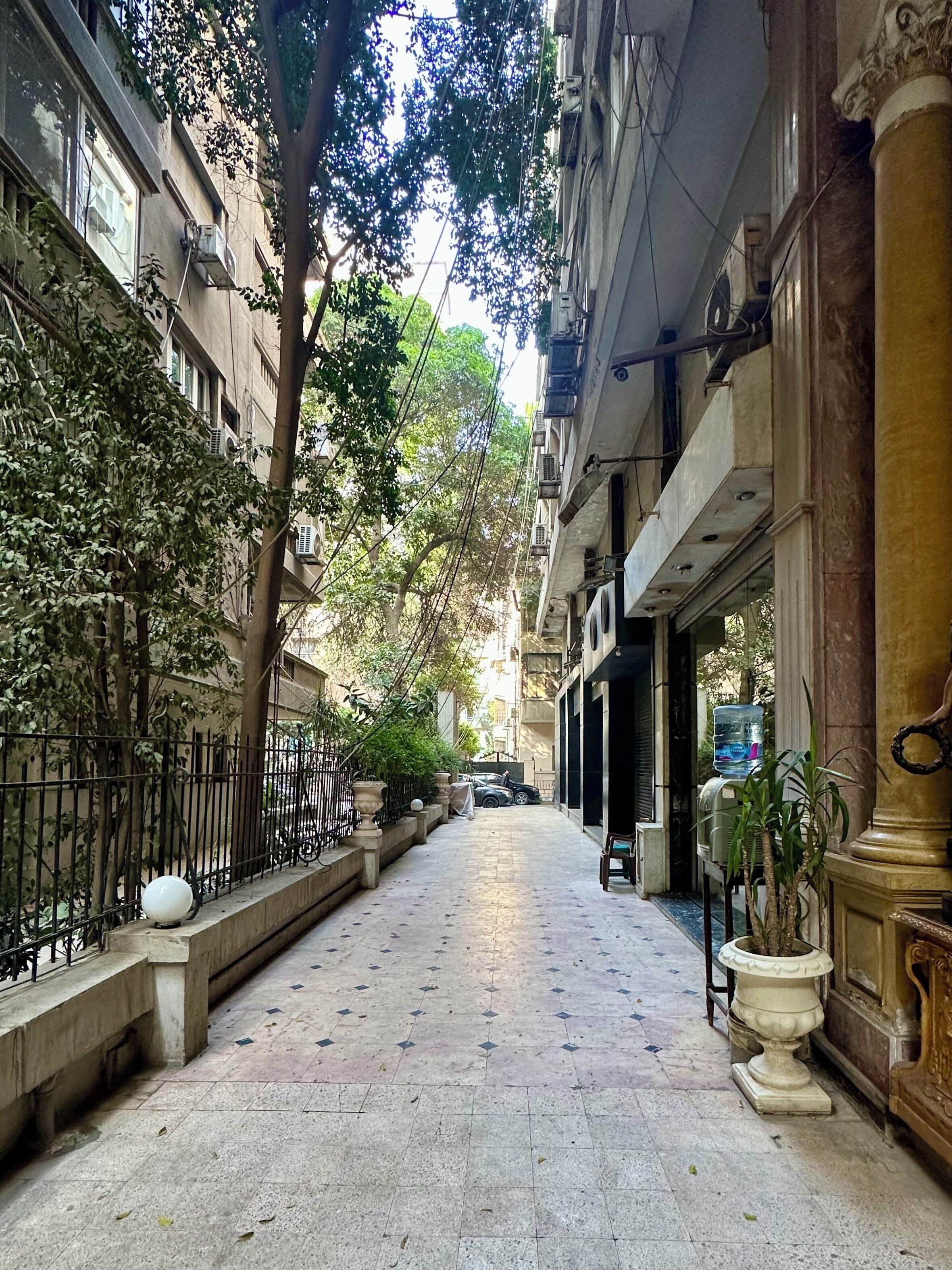 Um beco estreito com edifícios em ambos os lados, um caminho de azulejos e uma árvore dando sombra.