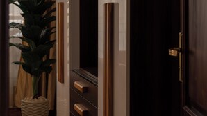 A modern room with a dark wooden wardrobe, a large potted plant, and a television.