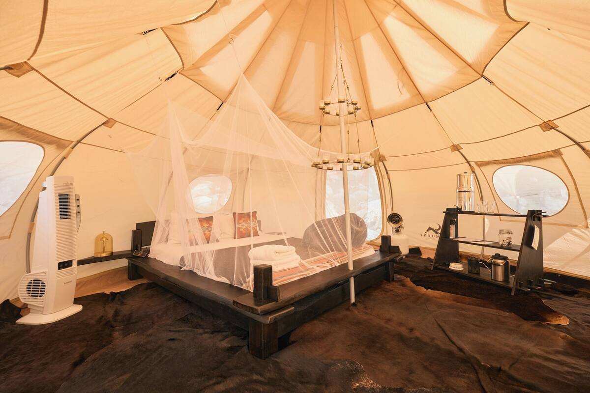 A tent with a bed, a fan, and a shelf with items.