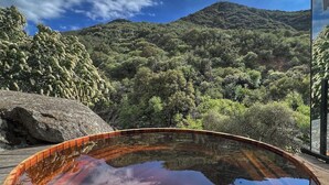 Una vasca idromassaggio con un pontile in legno e vista su un paesaggio montuoso ricoperto da fitta vegetazione.
