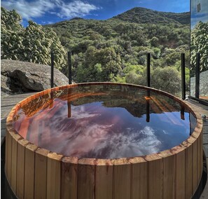 Deluxe Studio Suite, 1 Queen Bed, Air conditioning, River View | Pool - Paradise Ranch Inn (Three Rivers)