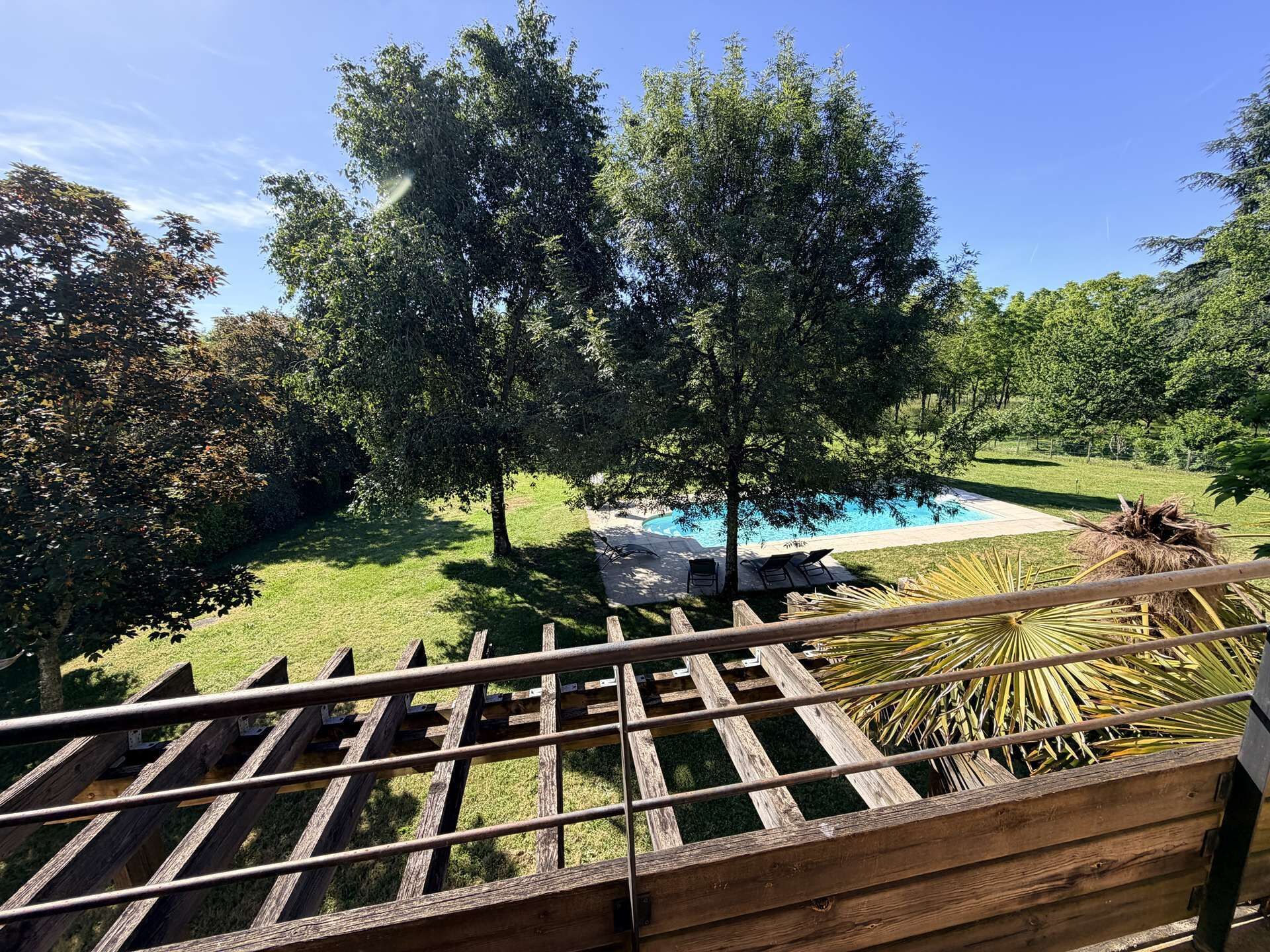 Un espace piscine doté d’une terrasse en bois, entouré d’une végétation luxuriante et d’arbres.