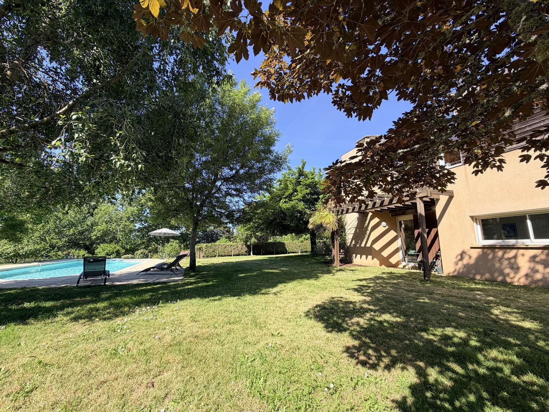 A backyard with a swimming pool, a lawn, and a building.