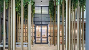 Une entrée moderne, avec des colonnes verticales et une porte en verre.
