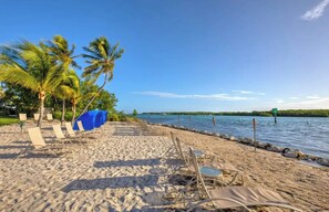 A beach with lounge chairs and a palm tree. - 46ft Catamaran · 4 Ensuite Cabins · Pool & Beach (Key West)