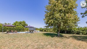 Area piscina con lettini, una zona relax coperta e un albero grande.