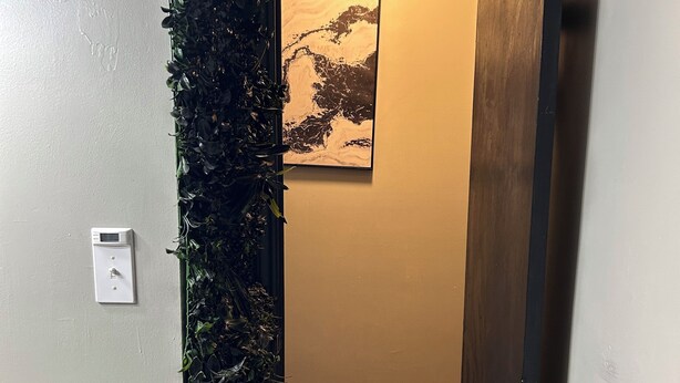 A hallway with a vertical garden, a door with a wooden finish, and a wall-mounted light switch. - Fully Furnished 3BR Home • Fast Wi-Fi • Parking • Near Uptown (Charlotte)