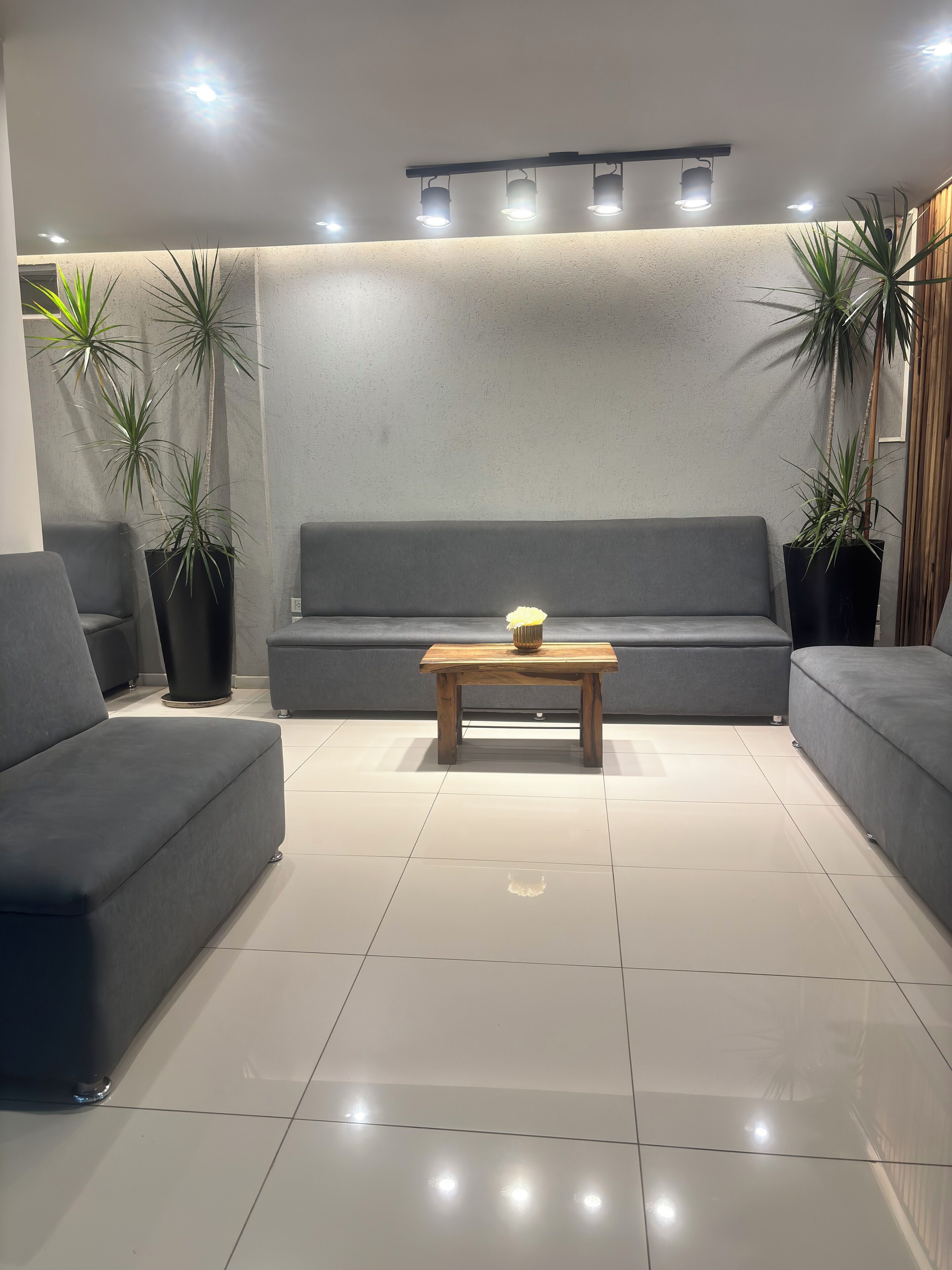 Een moderne woonkamer met een grijze bank, een houten salontafel en potplanten.