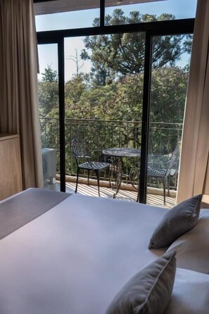 Classic Double Room, City View | Free WiFi