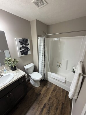 Secadora de cabello, toallas, jabón, papel de baño 