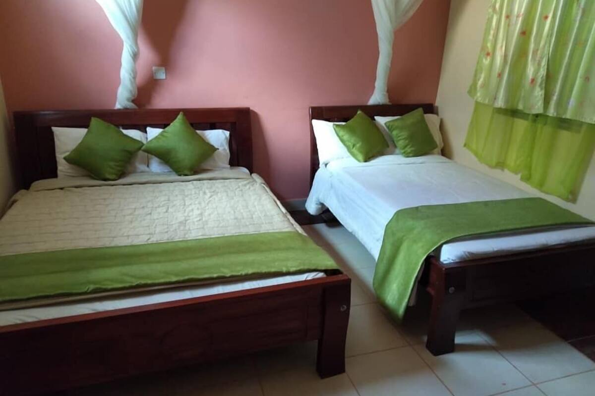 Habitación estándar con 2 camas individuales | Wifi gratis y ropa de cama