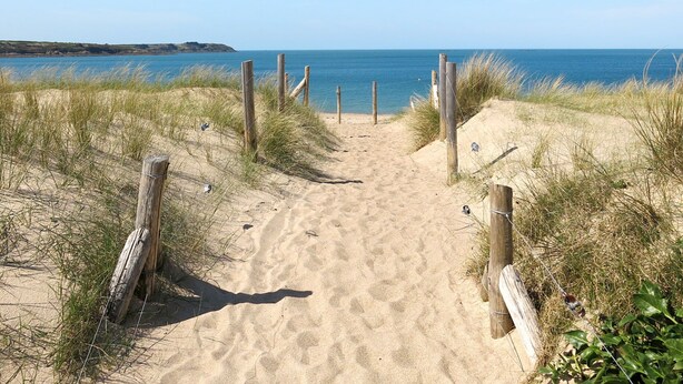 A sandy beach path leading to the sea with wooden posts and a clear sky. - Gîte Le Bisquin by Interhome (Cancale)