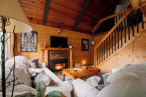 TV connectée, cheminée, livres