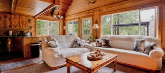 Littlefoot Lookout - big views, little cabin w/ spa!