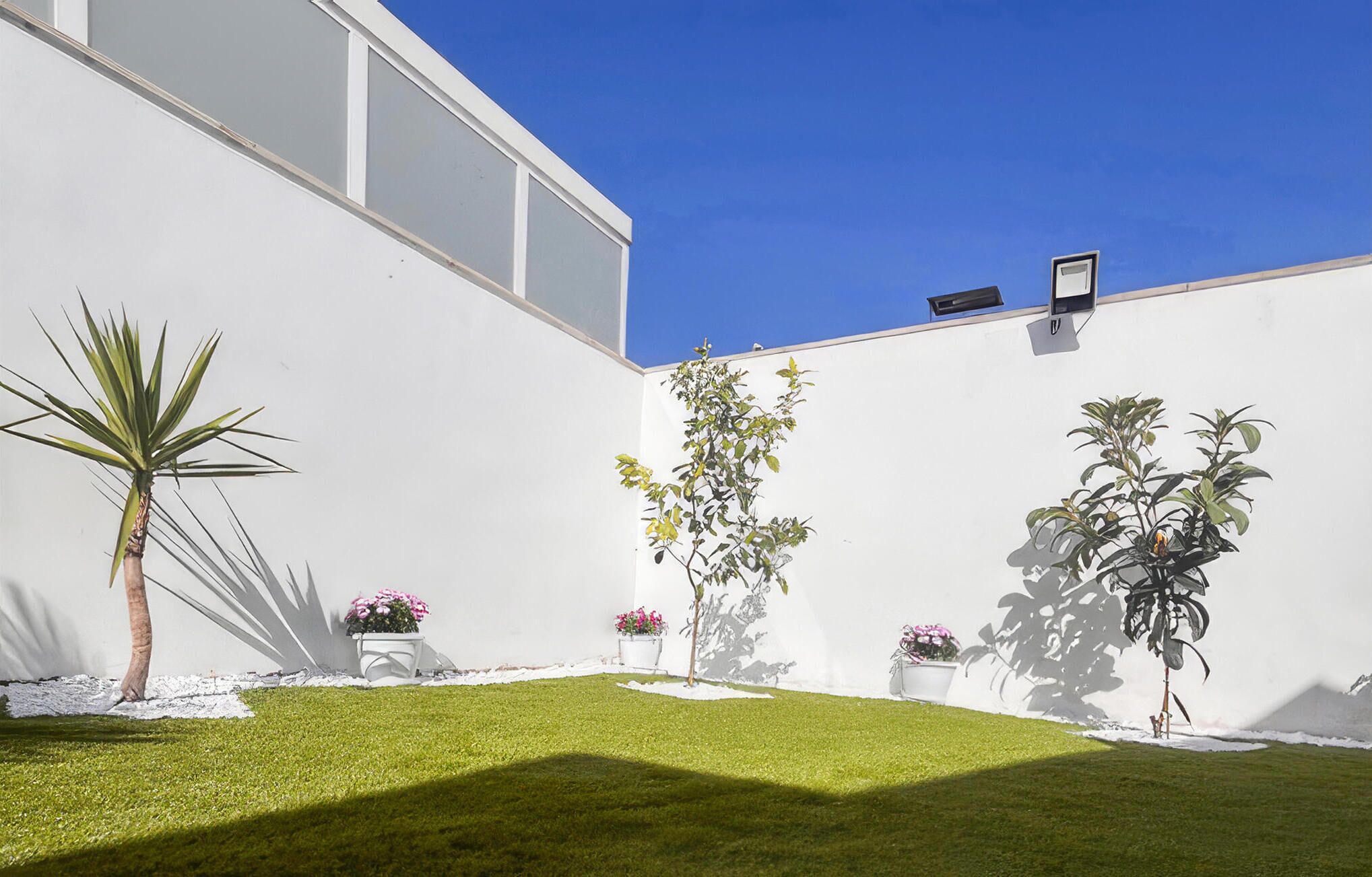 Un bâtiment moderne aux murs blancs, sous un ciel d’un bleu éclatant, et une pelouse bien entretenue agrémentée de divers plants en pot.