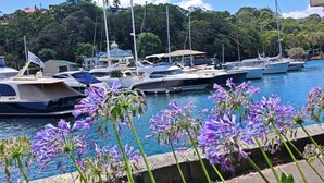 A marina with boats docked, surrounded by greenery and a clear sky. - Mosman | Stunning Opera and Bridge View | KozyGuru (Mosman)