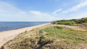 Un paysage côtier avec une plage de sable et des dunes herbeuses.