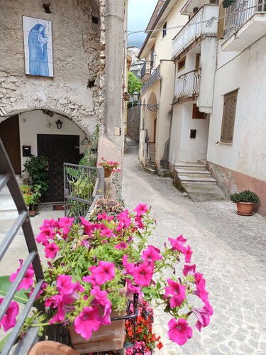 Giardino dei limoni nel Borgo di Maranola a Formia