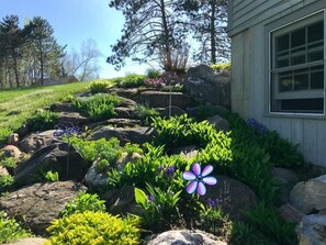 A garden with various plants and rocks, a small pond, and a house with a window. - The Flower Farm House - Timeless Stowe Retreat (Stowe)
