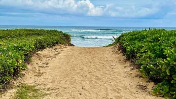 A sandy beach path leading to the ocean, flanked by green vegetation.