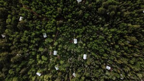 Vista aérea de un bosque denso con varias construcciones pequeñas dispersas.