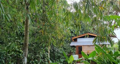 Tiny House Lodge In The Woods With Pool