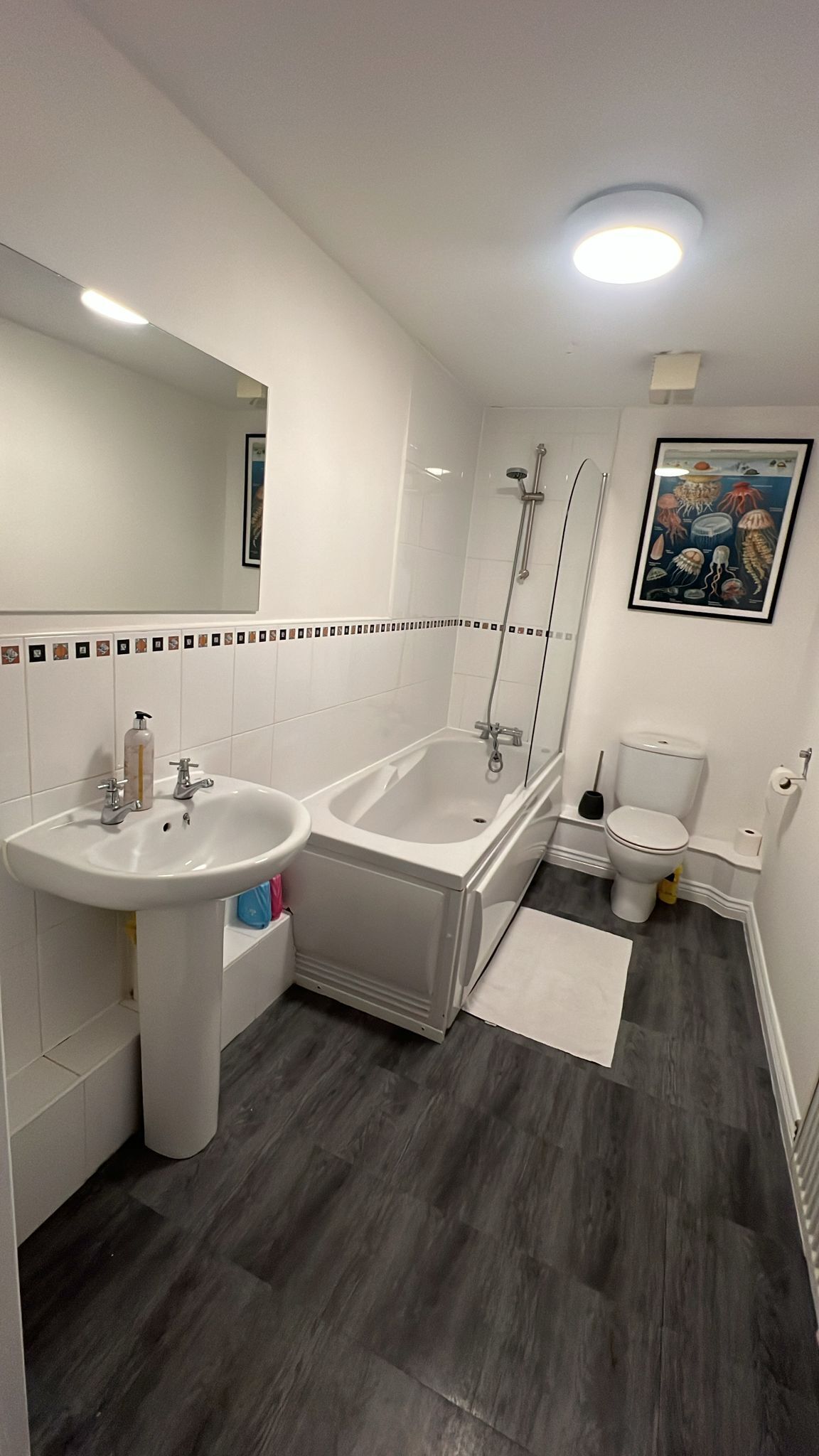 Douche, sèche-cheveux, serviettes fournies, savon