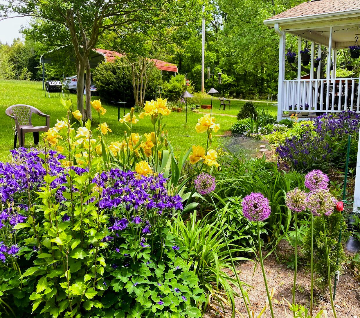 Overnattingsstedets uteområder