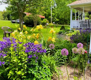 Overnattingsstedets uteområder