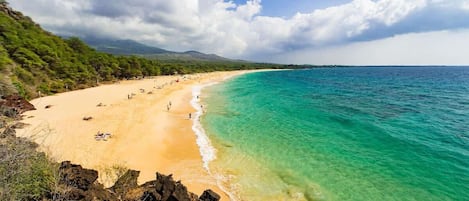Beach nearby, sun-loungers, beach towels