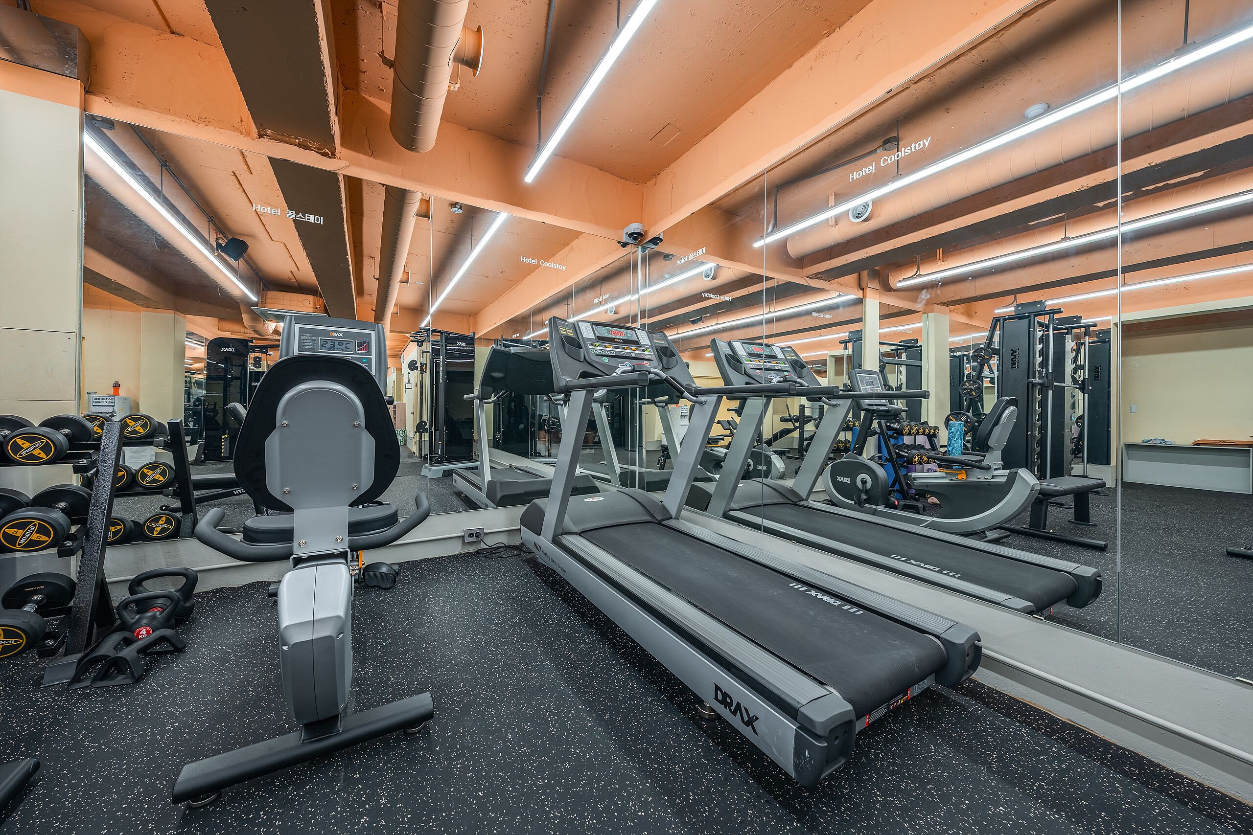 Een sportschool met loopbanden, krachttrainingsapparaten en losse gewichten.