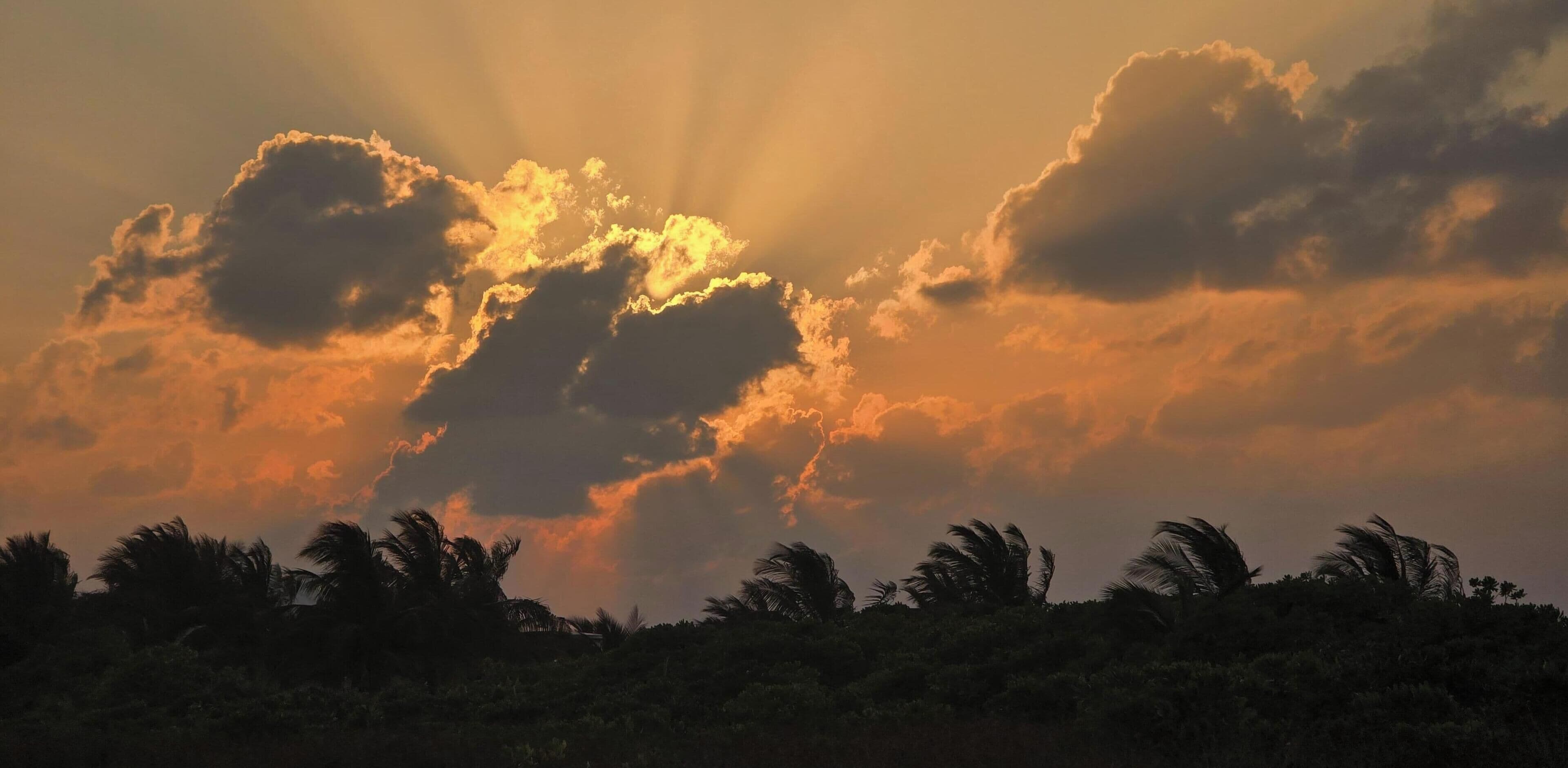 Atardecer con nubes y siluetas de palmeras contra el cielo.