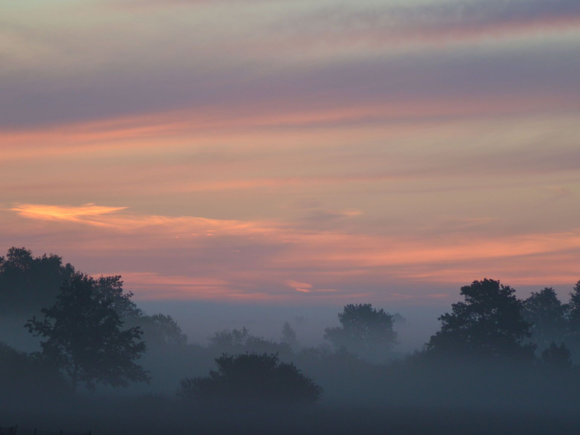Een mistig landschap met bomen in silhouet voor een kleurrijke lucht.