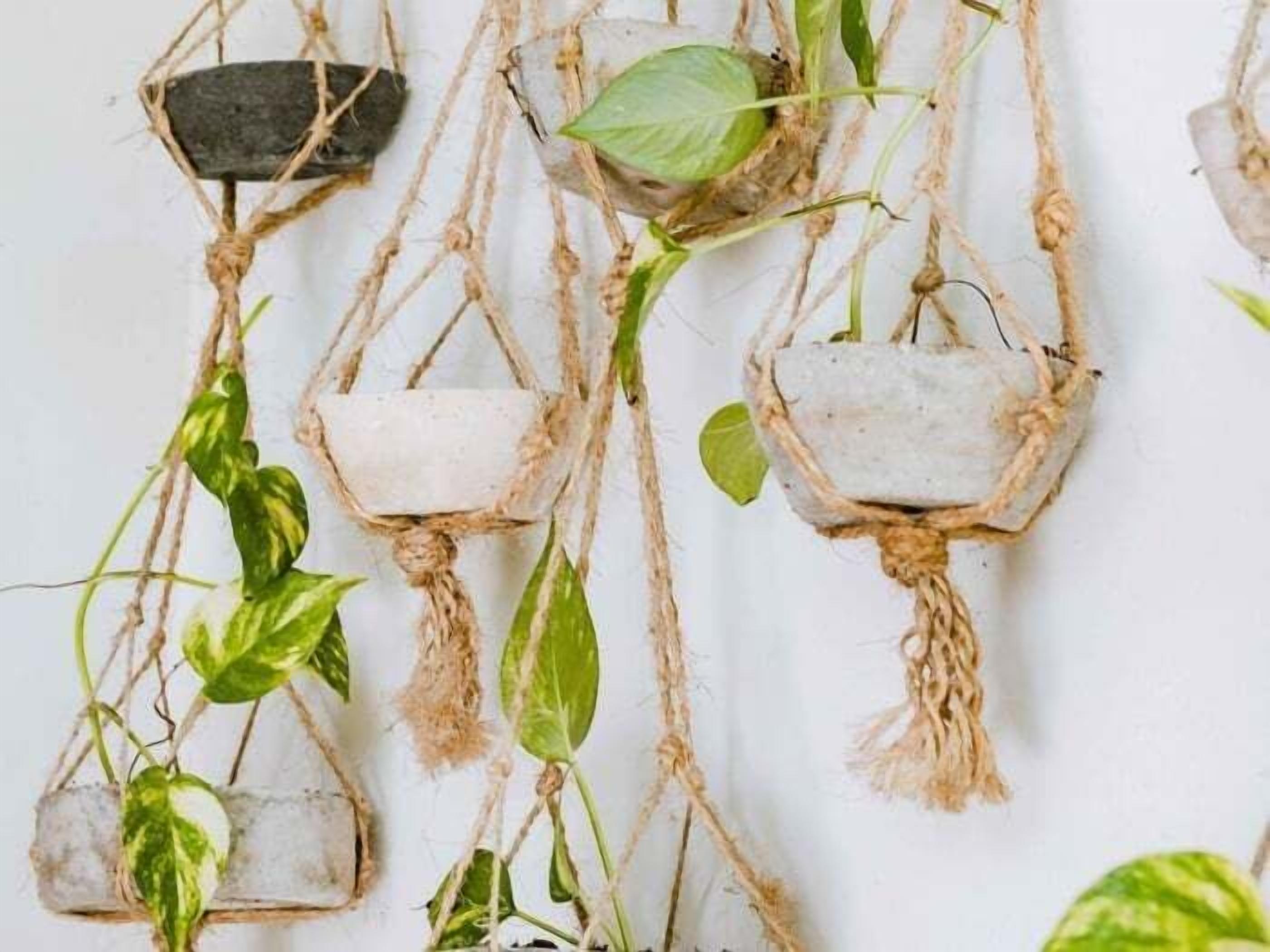 Paret amb testos de macramé que contenen plantes verdes.