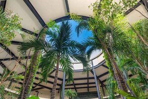 Property grounds - PH8C PANOR, Luxury Penthouse Alberca Privada-2 (Tulum)