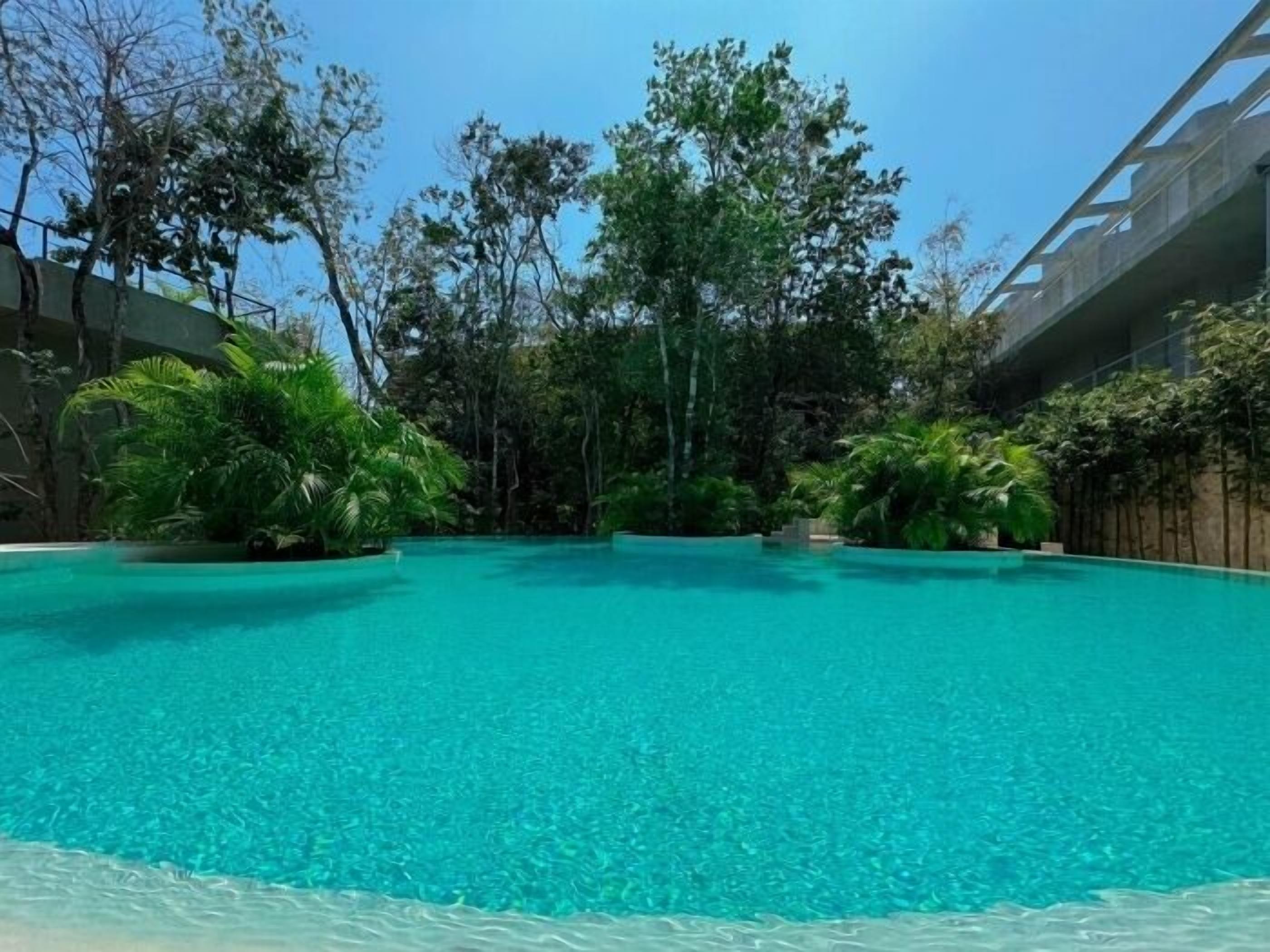 A clear blue pool surrounded by lush greenery and modern architecture.