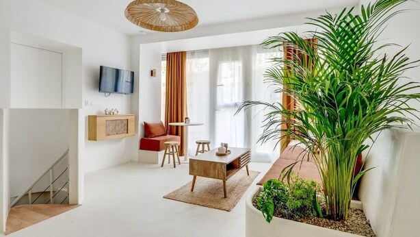 A modern living room with a TV, a coffee table, a sofa, and a large potted plant.