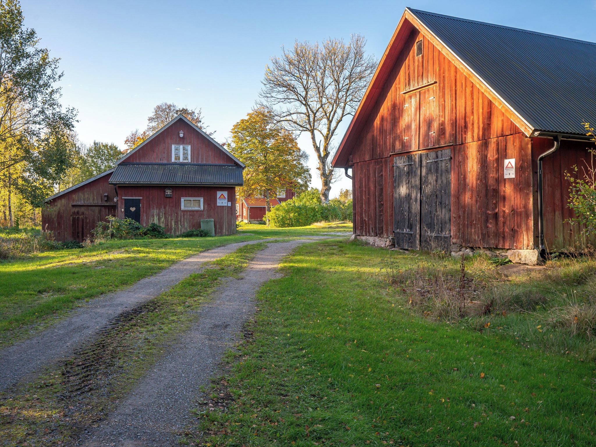 Un paysage rural avec un chemin de gravier menant à une grange rouge et à un bâtiment plus petit.