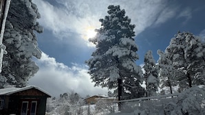 Ett snötäckt landskap med ett hus, träd och ett staket.