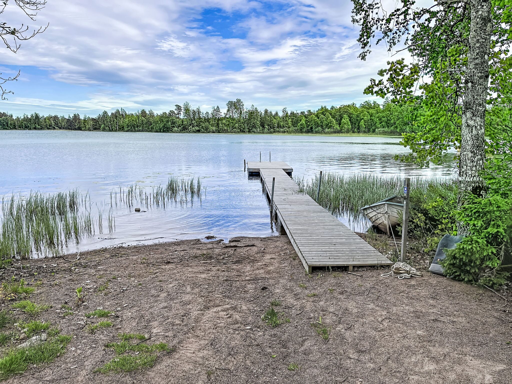 A wooden dock extending into a calm lake, surrounded by dense greenery and trees.
