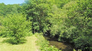 Un paysage verdoyant et luxuriant, traversé par un ruisseau.