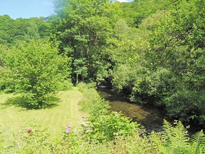 Üppige grüne Landschaft mit einem Fluss hindurch.