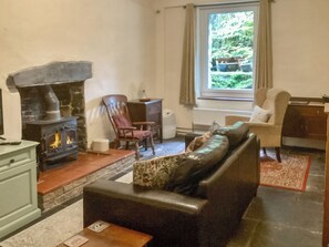 TV, fireplace - Jasmine Cottage Capel Bethesda (Aberllefenni, near Machynlleth)