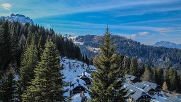 A mountain lodge with snow-covered roofs, surrounded by evergreen trees and a view of distant mountains.