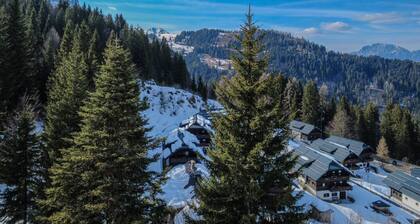 Appartement rustique dans les montagnes