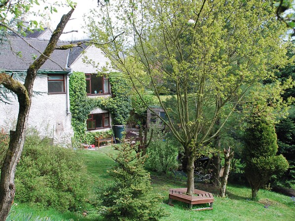 Een wit huis met muurlelie en een houten bank, omgeven door een weelderige tuin.