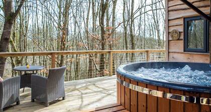 Ty cwtch Cabin - UKC7147