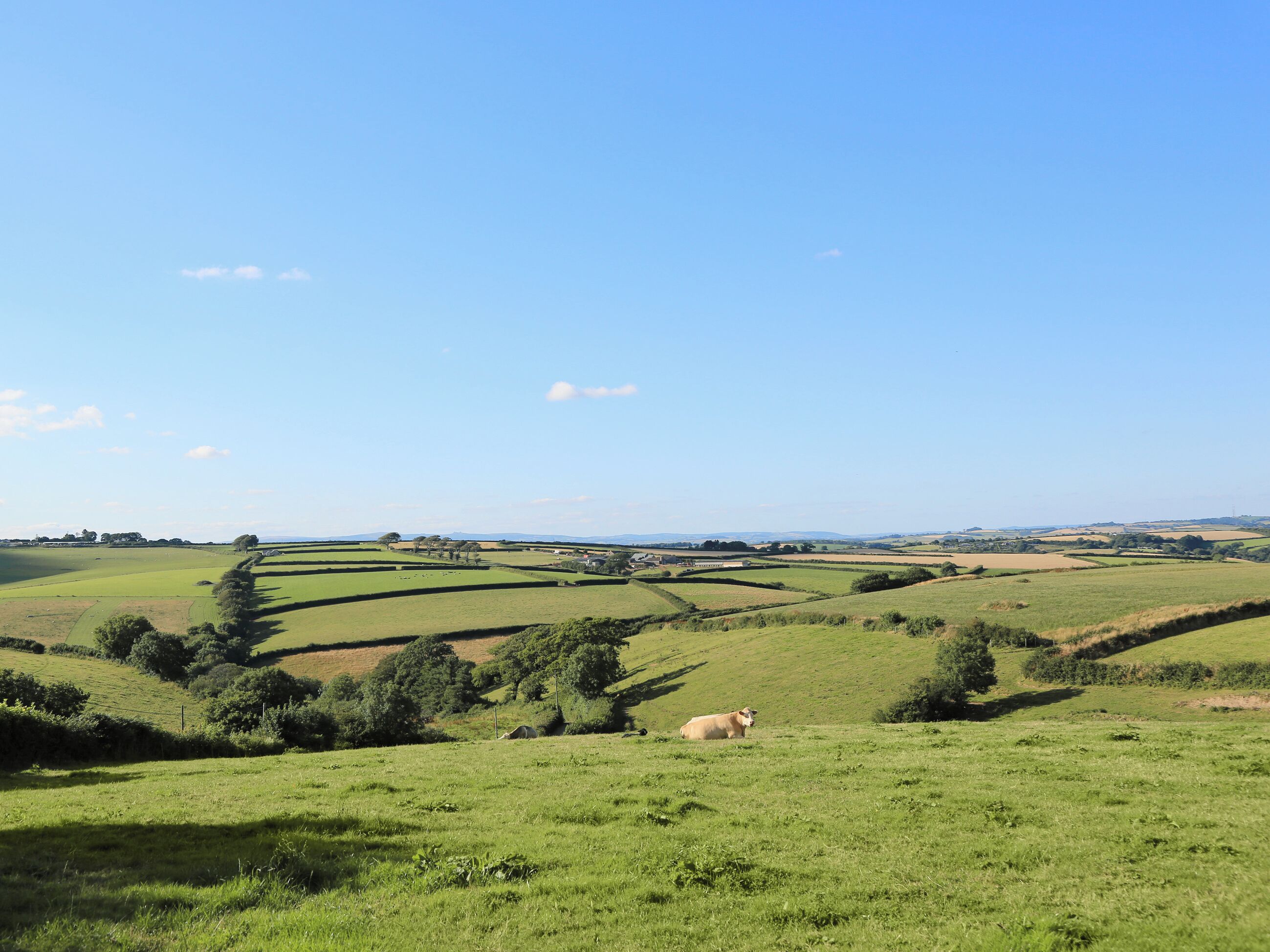 A rural landscape with rolling green fields, a cow grazing, and distant hills under a clear sky.