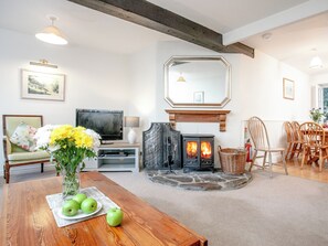 Fernseher, Kamin